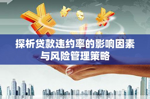 龙湾探析贷款违约率的影响因素与风险管理策略