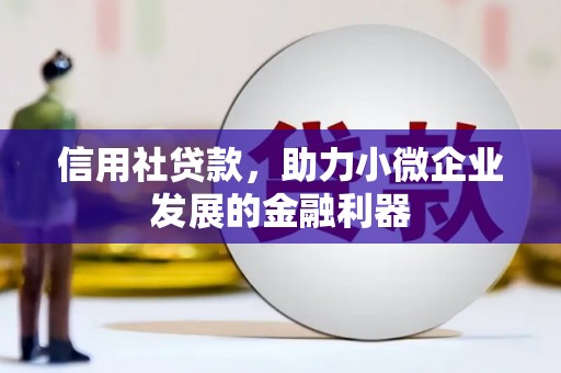 龙湾信用社贷款，助力小微企业发展的金融利器