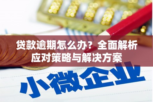 龙湾贷款逾期怎么办？全面解析应对策略与解决方案