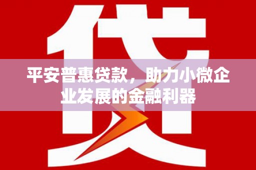 龙湾平安普惠贷款，助力小微企业发展的金融利器