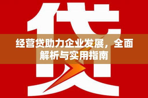 龙湾经营贷助力企业发展，全面解析与实用指南