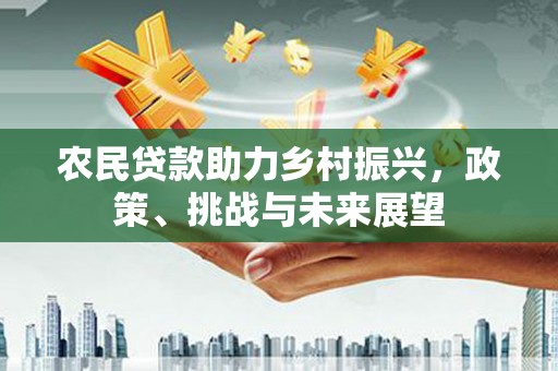 龙湾农民贷款助力乡村振兴，政策、挑战与未来展望