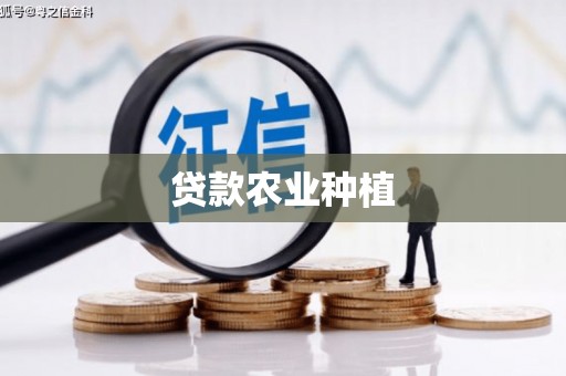 龙湾贷款农业种植