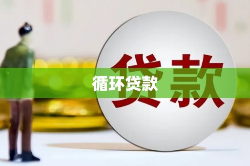 龙湾循环贷款