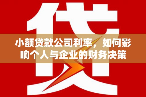 龙湾小额贷款公司利率，如何影响个人与企业的财务决策