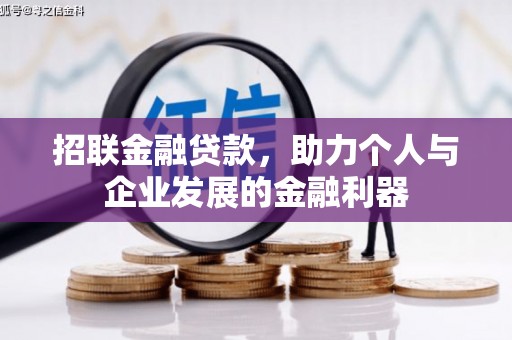龙湾招联金融贷款，助力个人与企业发展的金融利器
