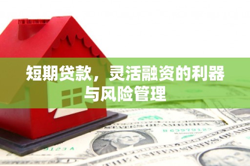 龙湾短期贷款，灵活融资的利器与风险管理
