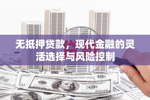 龙湾无抵押贷款，现代金融的灵活选择与风险控制