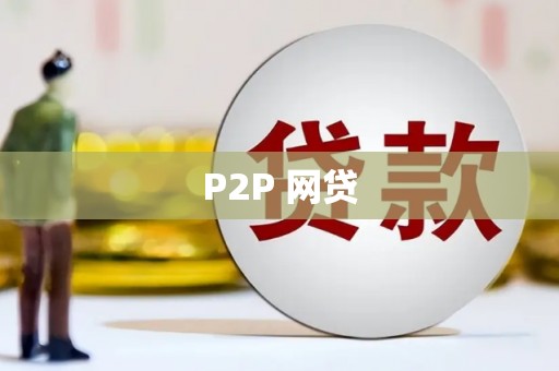 龙湾P2P 网贷