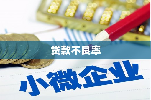 龙湾贷款不良率
