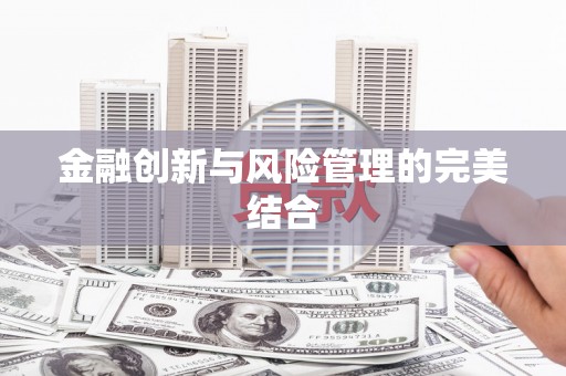 龙湾金融创新与风险管理的完美结合