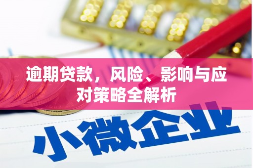 龙湾逾期贷款，风险、影响与应对策略全解析