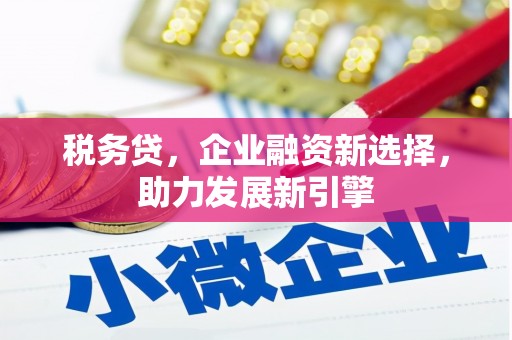 龙湾税务贷，企业融资新选择，助力发展新引擎