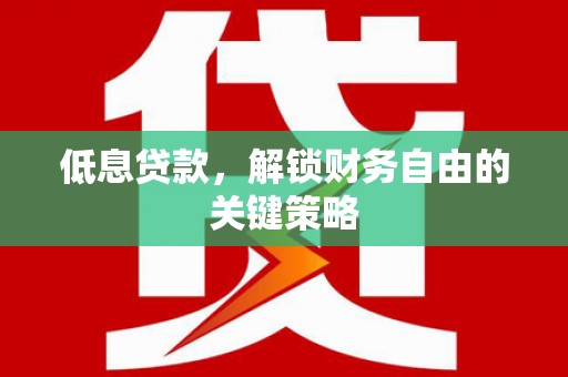 龙湾低息贷款，解锁财务自由的关键策略