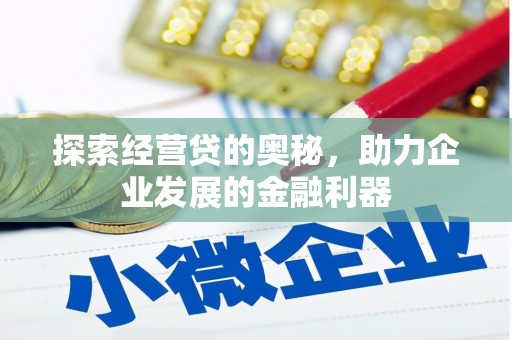 龙湾探索经营贷的奥秘，助力企业发展的金融利器