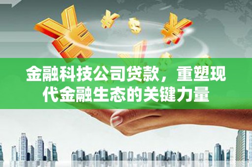 龙湾金融科技公司贷款，重塑现代金融生态的关键力量