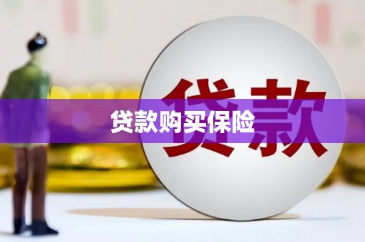 龙湾贷款购买保险