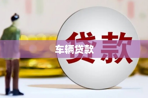 龙湾车辆贷款
