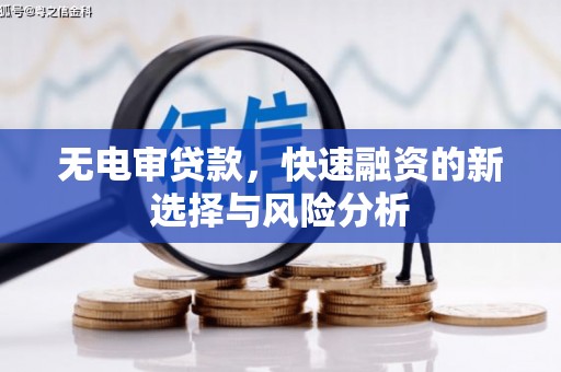 龙湾无电审贷款，快速融资的新选择与风险分析