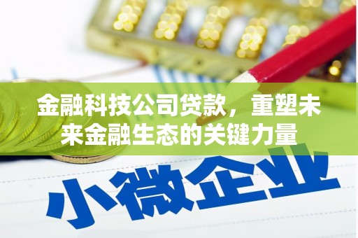 龙湾金融科技公司贷款，重塑未来金融生态的关键力量