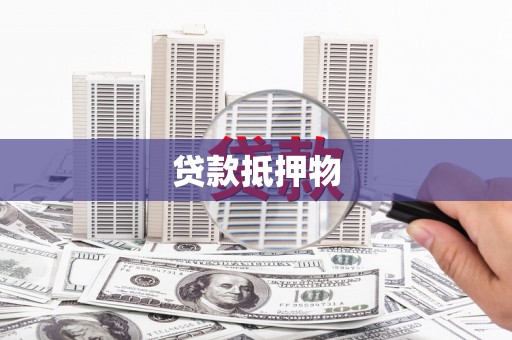 龙湾贷款抵押物