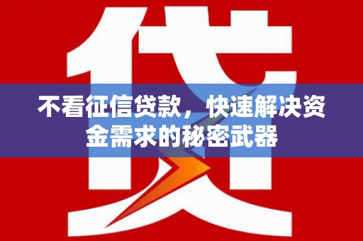 龙湾不看征信贷款，快速解决资金需求的秘密武器