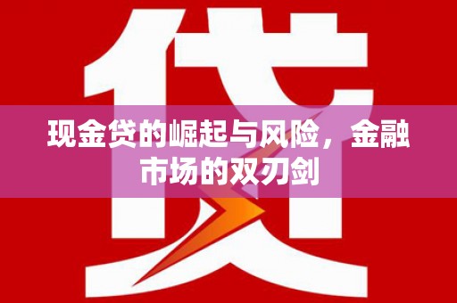 龙湾现金贷的崛起与风险，金融市场的双刃剑