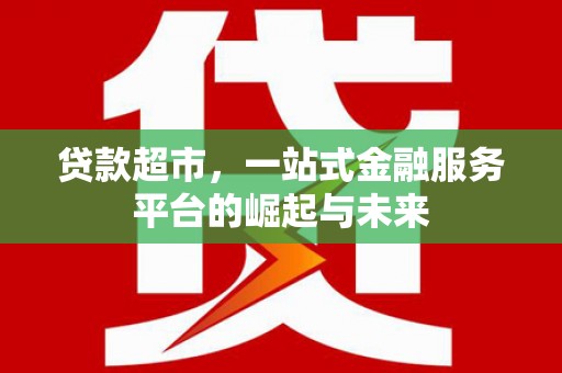 龙湾贷款超市，一站式金融服务平台的崛起与未来