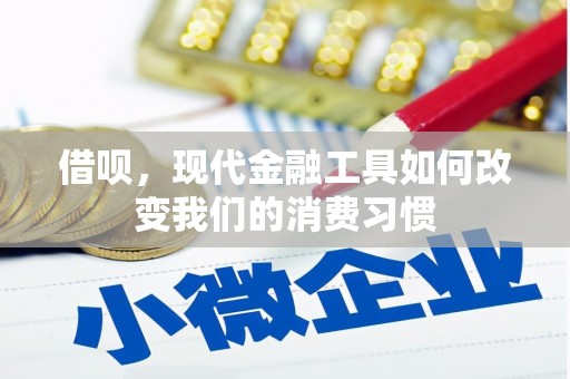 龙湾借呗，现代金融工具如何改变我们的消费习惯