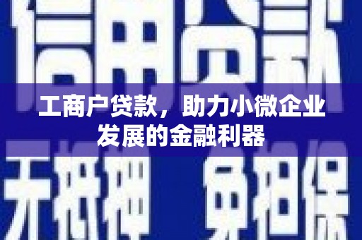 龙湾工商户贷款，助力小微企业发展的金融利器