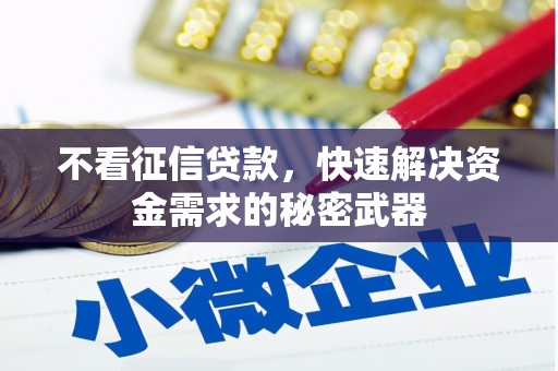 龙湾不看征信贷款，快速解决资金需求的秘密武器
