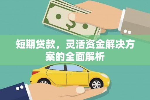 龙湾短期贷款，灵活资金解决方案的全面解析