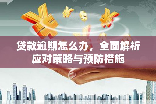 龙湾贷款逾期怎么办，全面解析应对策略与预防措施