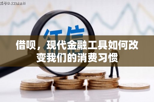 龙湾借呗，现代金融工具如何改变我们的消费习惯