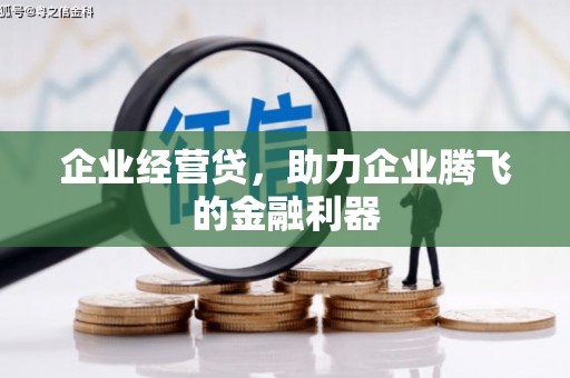 龙湾企业经营贷，助力企业腾飞的金融利器