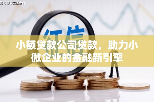 龙湾小额贷款公司贷款，助力小微企业的金融新引擎
