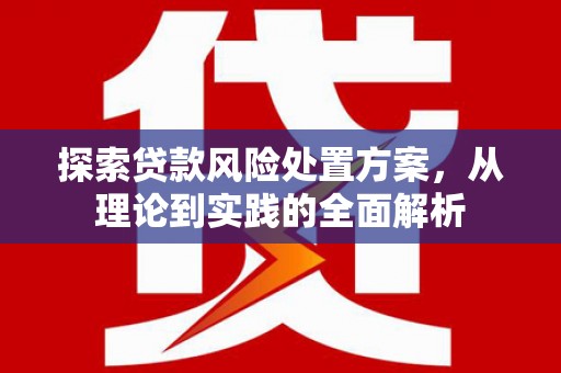 龙湾探索贷款风险处置方案，从理论到实践的全面解析