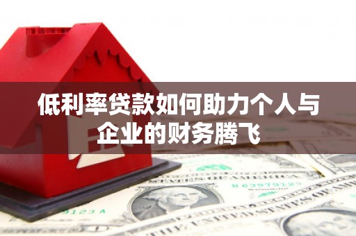 龙湾低利率贷款如何助力个人与企业的财务腾飞