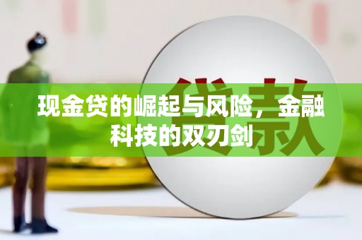 龙湾现金贷的崛起与风险，金融科技的双刃剑