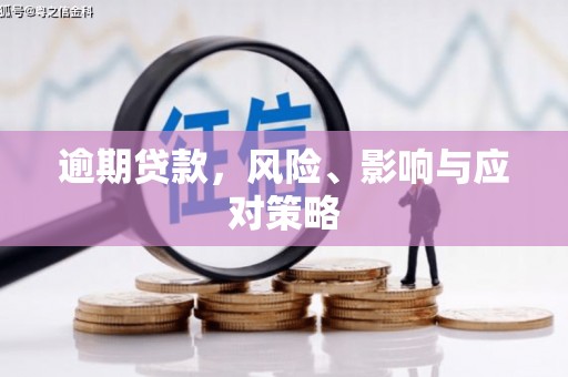 龙湾逾期贷款，风险、影响与应对策略