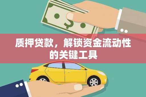 龙湾质押贷款，解锁资金流动性的关键工具