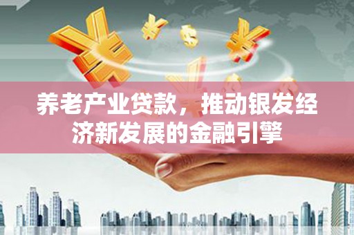 龙湾养老产业贷款，推动银发经济新发展的金融引擎