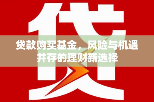 龙湾贷款购买基金，风险与机遇并存的理财新选择