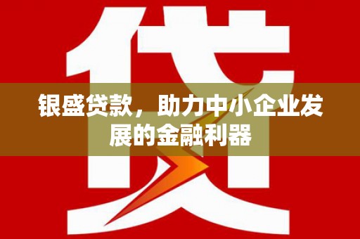 龙湾银盛贷款，助力中小企业发展的金融利器