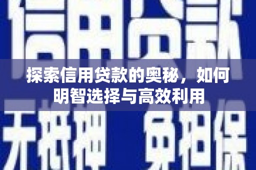 龙湾探索信用贷款的奥秘，如何明智选择与高效利用