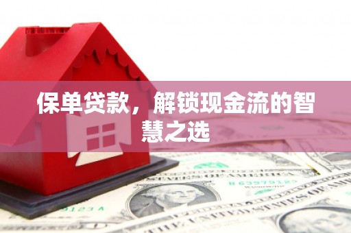 龙湾保单贷款，解锁现金流的智慧之选