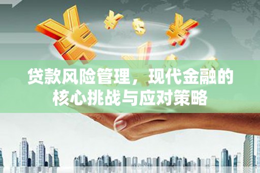 龙湾贷款风险管理，现代金融的核心挑战与应对策略
