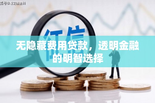 龙湾无隐藏费用贷款，透明金融的明智选择