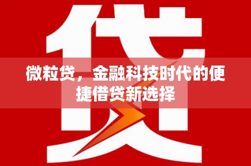 龙湾微粒贷，金融科技时代的便捷借贷新选择