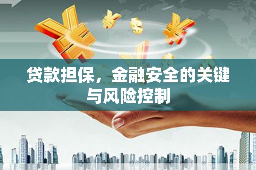 龙湾贷款担保，金融安全的关键与风险控制
